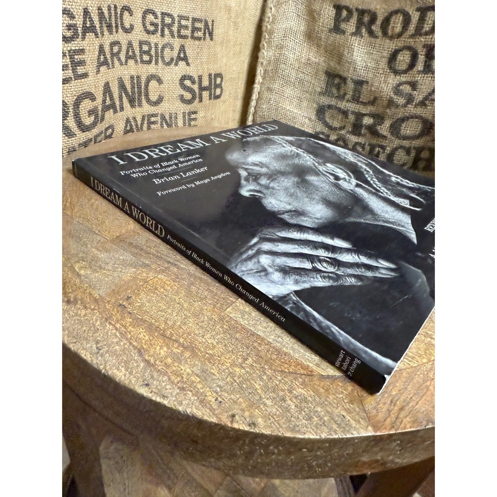 I Dream a World Brian Lanker 10th Anniversary Revised Ed Maya Angelou - Picture 7 of 7